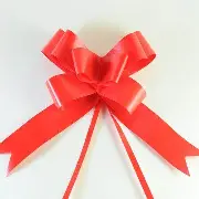 Moño Magico N°5 x10U Rojo-55681