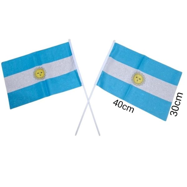 Bandera tela Argentina 45x30 con palito-420123