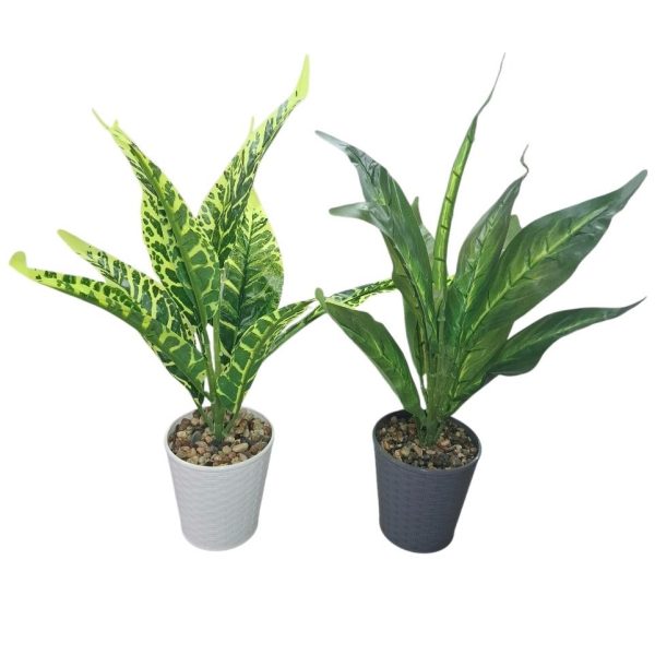 Planta hojas verdes en maceta 35 cm- 63996