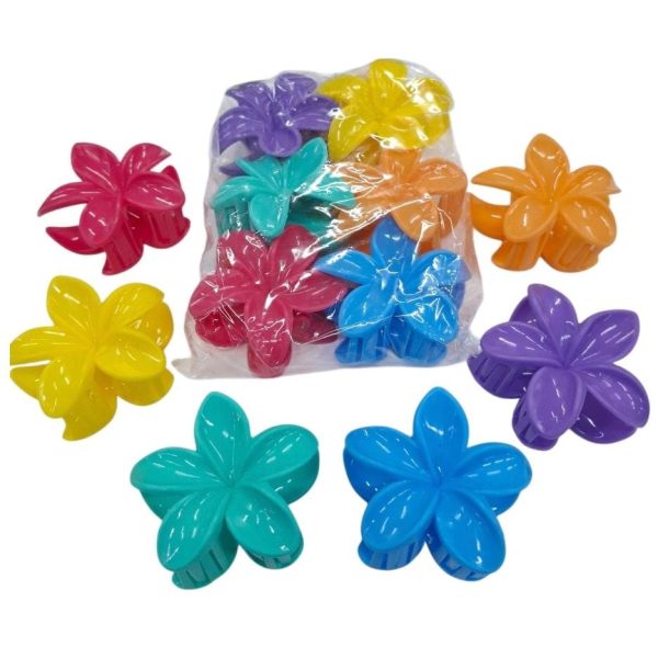 Broche hawaiano x12 u surtido color - 18014