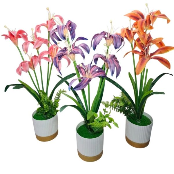 Planta con flor en maceta 50 cm- 63934