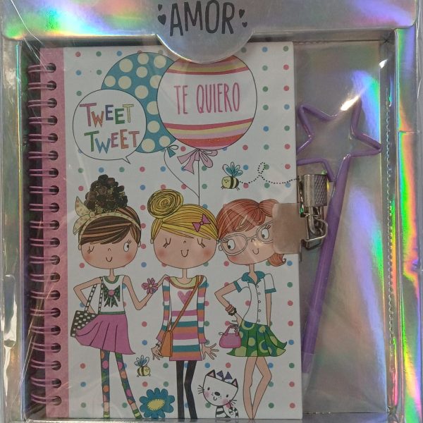 Diario intimo 13x18 con candado y lapicera en caja visora- 20250