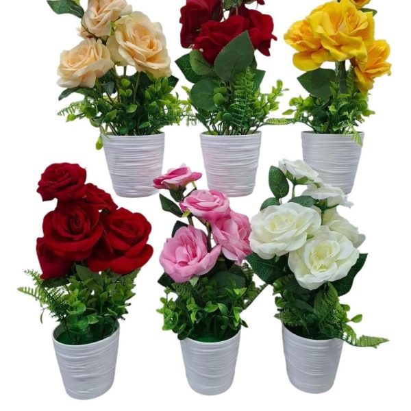 Maceta con planta y 5 rosas 42 cm -22350