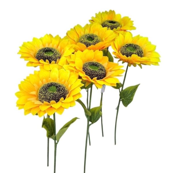 Vara 62 cm Girasol 18cm DL 22320- 84151