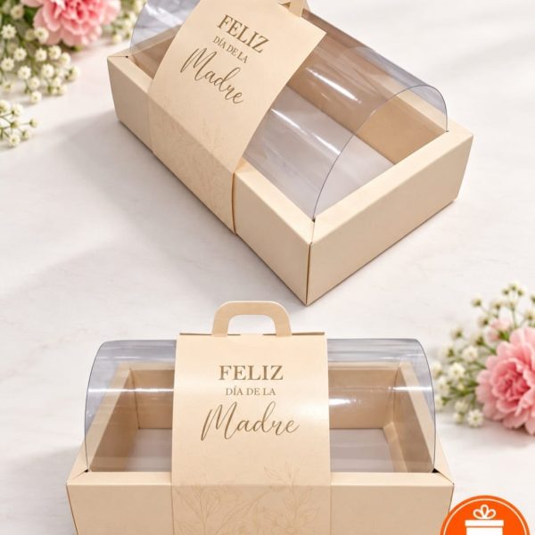 Caja BUZON con PVC 30x18x20cm- 2012SC